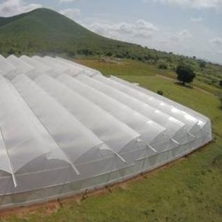 Có 1000m2 trồng rau sạch trong nhà màng, công nghệ nhà màng trong sản xuất rau sạch