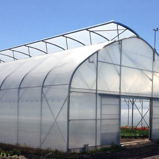 Có 1000m2 trồng rau sạch trong nhà màng, công nghệ nhà màng trong sản xuất rau sạch