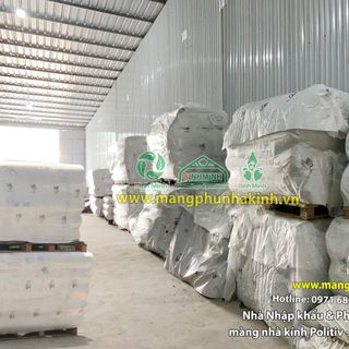 Có 1000m2 trồng rau sạch trong nhà màng, công nghệ nhà màng trong sản xuất rau sạch