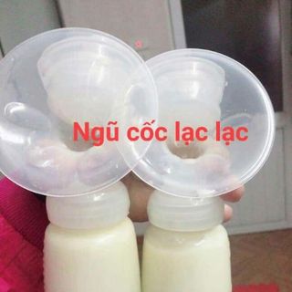 Ngũ cốc lợi sữa