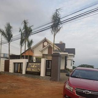 Cà phê hạt robusta
