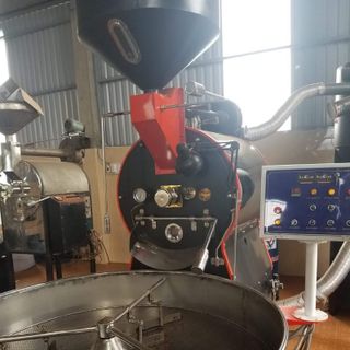 Cà phê hạt robusta