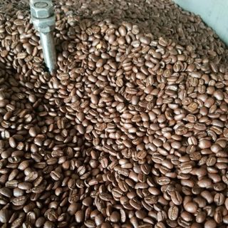 Cà phê hạt robusta