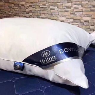 RUỘT GỐI HILTON ( bông mềm kháng khuẩn )