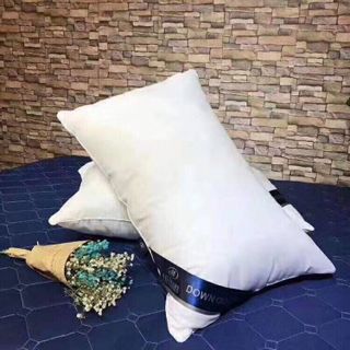 RUỘT GỐI HILTON ( bông mềm kháng khuẩn )