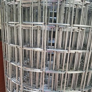 Báo giá lưới thép hàn D3 ô 50x50 tại Hà Nội