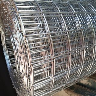 Báo giá lưới thép hàn D3 ô 50x50 tại Hà Nội