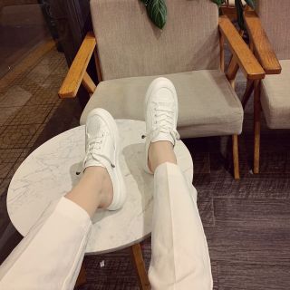 Sục bata hoa cúc