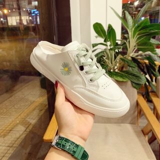 Sục bata hoa cúc