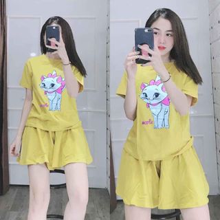 SÉT BỘ COTTON 4C CO GIÃN , MỀM MỊN, KHÔNG XÙ,THẤM HÚT MỒ HÔI