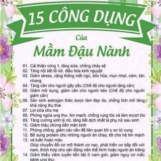 MẦM ĐẬU NÀNH CHIA ÚC PHẤN ONG