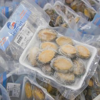 Bào ngư giá sỉ size5 18 - 22 con / kg