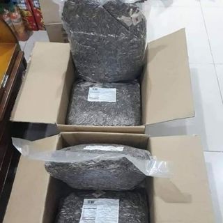 HƯỚNG DƯƠNG VỊ DỪA CHACHEER