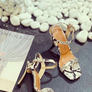 Giay sd rắn sang chảnh