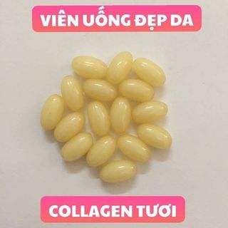 Viên uống collagen tươi tổ yên nhật bản