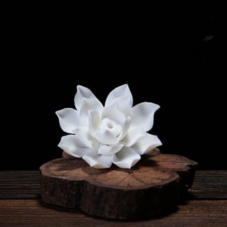 Hoa sen trắng , hoa sen gốm sứ
