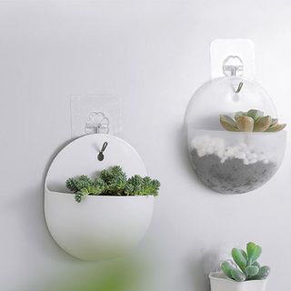 Chậu cây treo tường trang trí bằng nhựa (mẫu tròn)