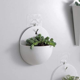 Chậu cây treo tường trang trí bằng nhựa (mẫu tròn)