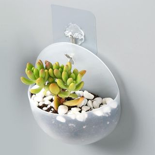 Chậu cây treo tường trang trí bằng nhựa (mẫu tròn)