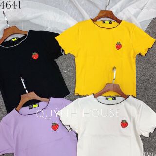 Áo borip co giản