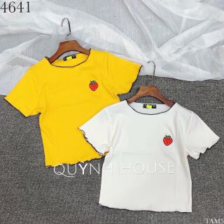 Áo borip co giản
