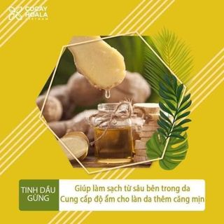 Sữa tắm chống cảm thảo dược Gừng - Nghệ cocayhoala