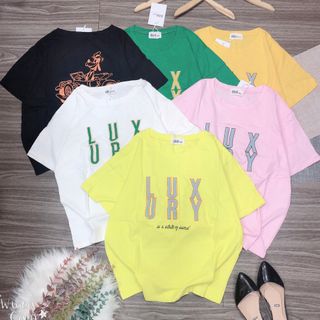 Áo thun fom vừa 888 đẹp