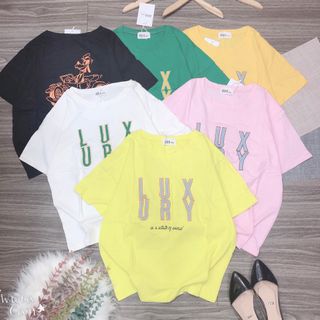 Áo thun fom vừa 888 đẹp