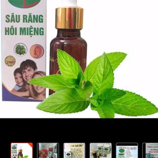 Tinh dầu sâu răng Dạ Thảo liên hũ to