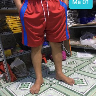 Quần đùi Nam dày dặn co dãn cực tốt