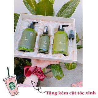 Combo dầu gội bưởi