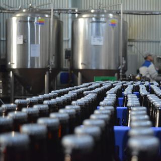 BIA TƯƠI HANOI_BREWING