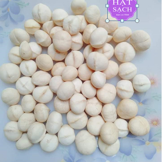 1kg macca daklak size [TO, GIÒN, NGON, NGỌT, SẤY NHIỆT THẤP 60h GIỮ ĐƯỢC TỐI ĐA DINH DƯỠNG] tách vỏ dễ dàng, tặng kèm khui