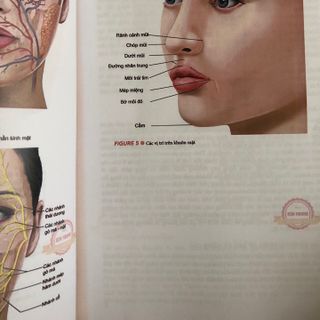 SÁCH - Thẩm Mỹ TRẺ HOÁ DA