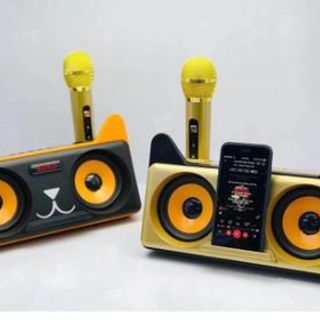 Loa karaoke SDRD-305 MẮT CÚ KÈM 2 MIC KO DÂY