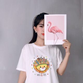 trùm sỉ đầm thun rẻ nhất toàn quốc giá từ 3x