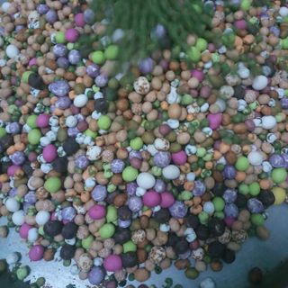 ĐẬU MIX 22 VỊ
