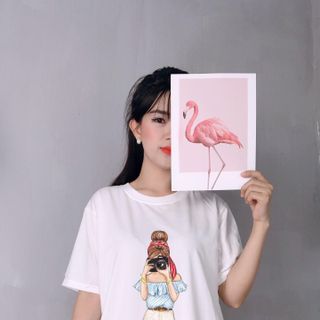 áo thun đầm thun giá sỉ từ 2x 3x