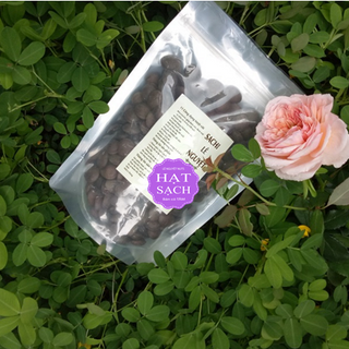 500g HẠT SACHI SẤY SẠCH [THƠM,BÙI,GIÒN,NGỌT,CHẮC,MẨY] KIỂM NGHIỆM ANTVS THỰC PHẨM LÊ NGUYỆT