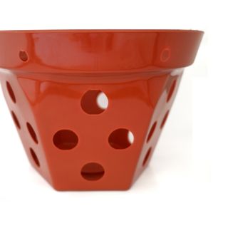 Chậu Nhựa Trồng Lan (21x15cm) -