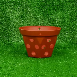 Chậu Nhựa Trồng Lan (14x10cm) -