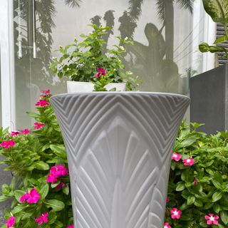 Chậu nhựa Hoa Văn Chiếc Lá Giả Sứ cạnh Lớn: 25x 33 x 16.5 cm