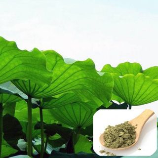 Lá Sen Khô (1kg) Được Tặng Thêm 100g giá sỉ