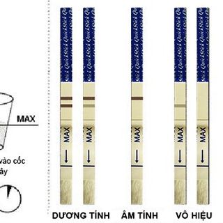Que thử thai HCG TRUELINE