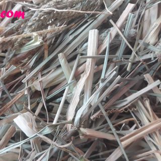Cỏ Mần Trầu Khô 1kg (Tặng 0.5kg Khi Mua 2kg) Tốt Cho Người Cao Huyết Áp Viêm Gan Cảm Sốt