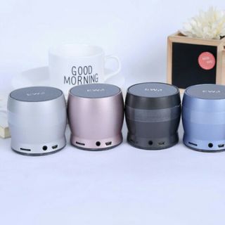 Loa bluetooth EWA A150