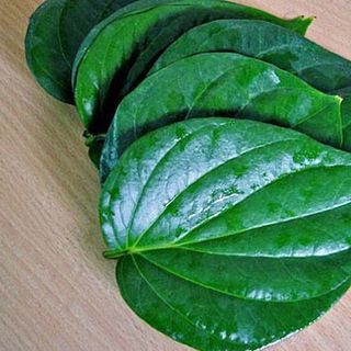 Lá Trầu Khô 1kg (Tặng Thêm 100g)