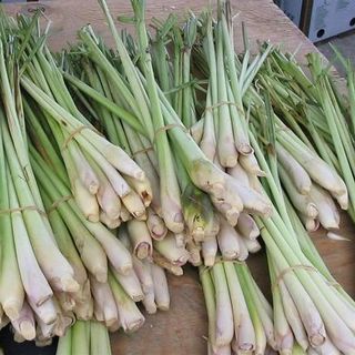 Lá Sả Khô 1kg Tặng Thêm 100g