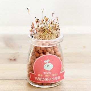 CHẬU CÂY THỦY TINH MINI CACBON TRÒN KÈM HẠT GIỐNG CỎ MAY MẮN