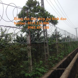 Thép gai hình dao giá rẻ phân phối toàn quốc